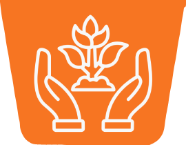 Main dans les plantes